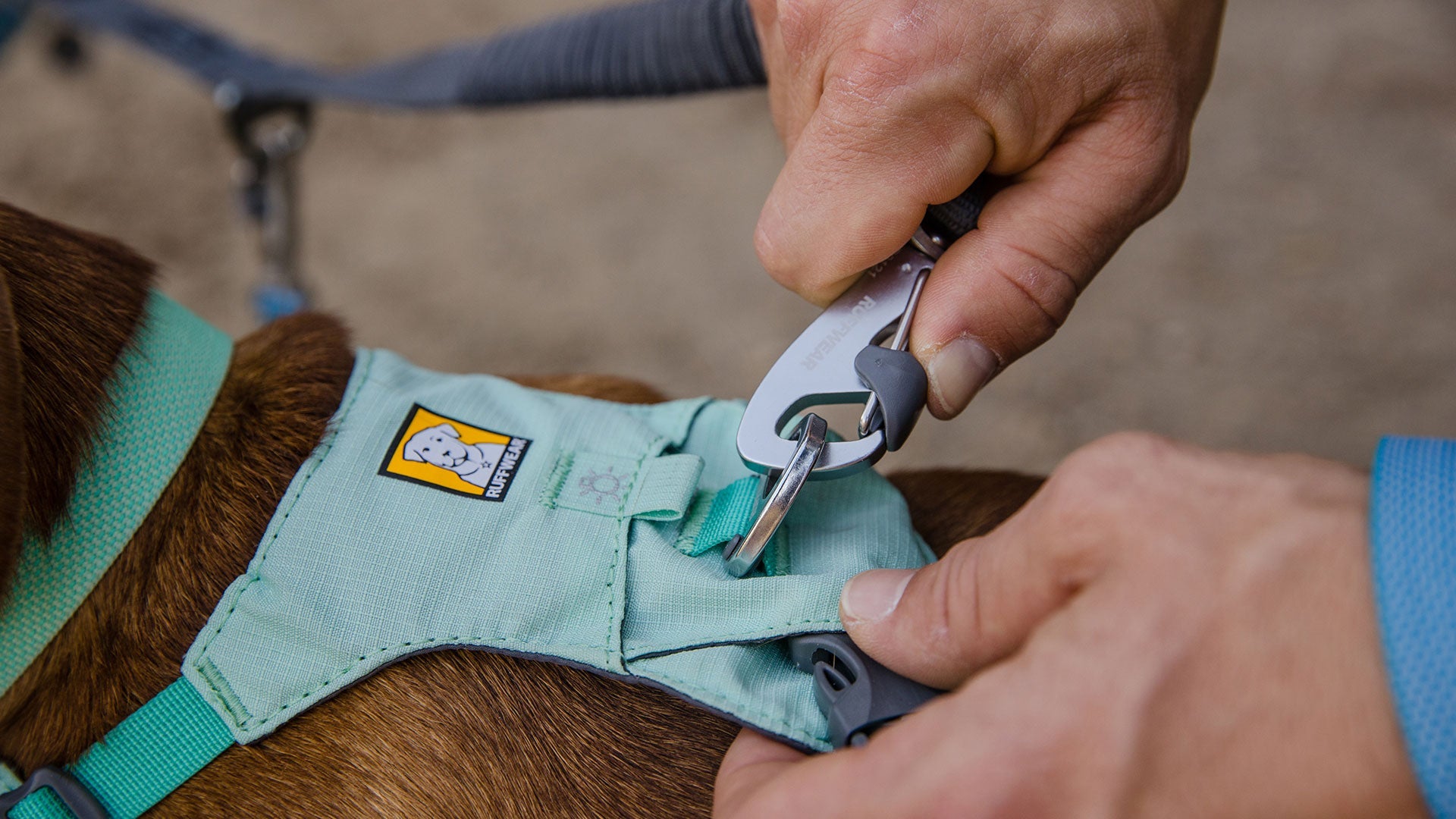 Double Track Dog Lead Coupler for Two Dogs Ruffwear