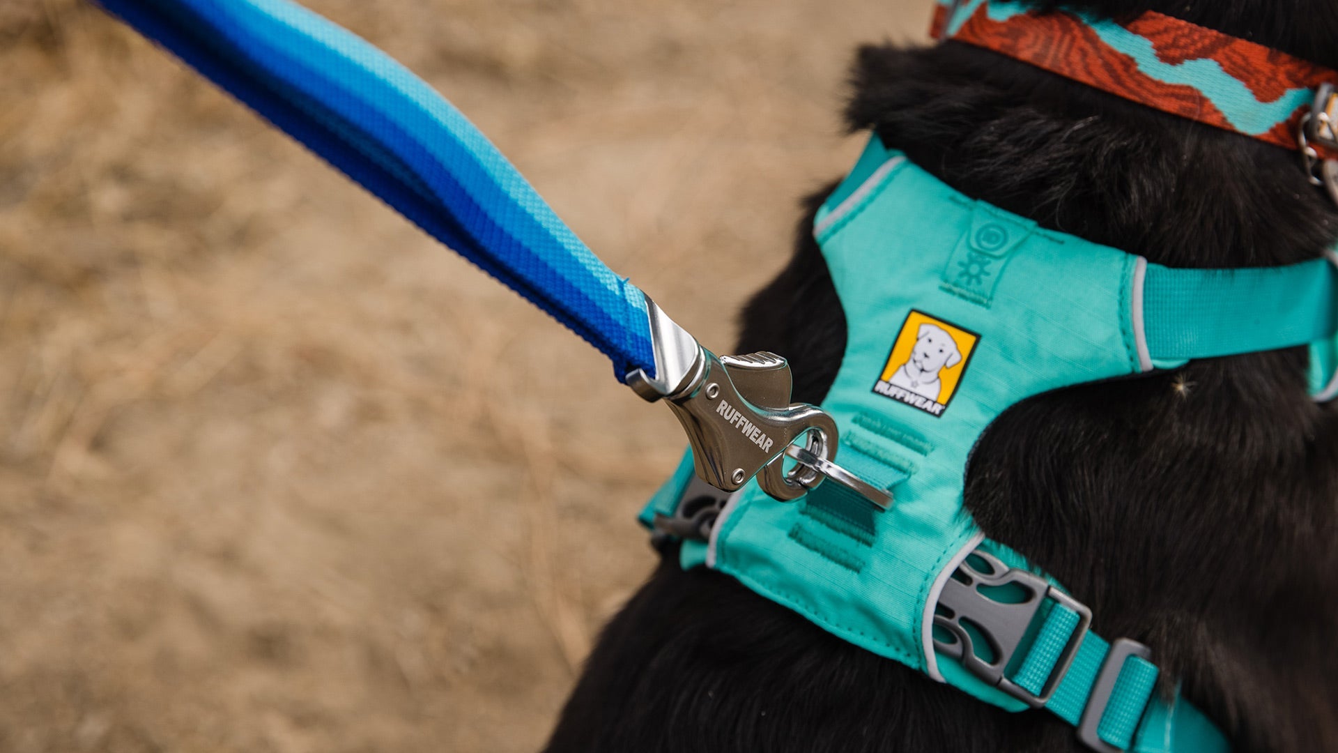 Roamer Bungee Running Dog Leash Ruffwear