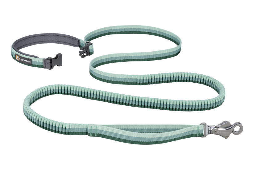 Best bungee dog lead best sale