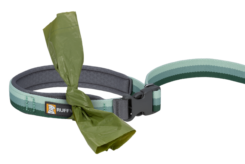 Ruffwear roamer dog deals leash