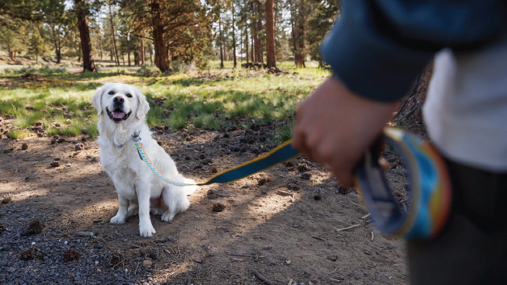 Crag Reflective Dog Lead Ruffwear