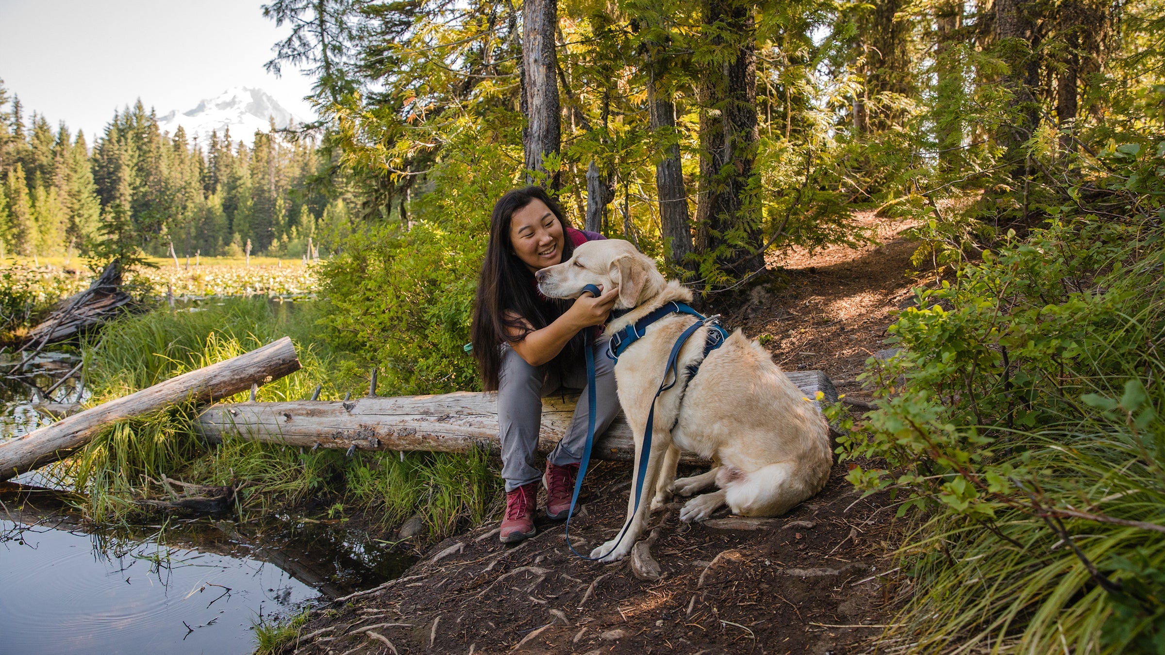 Front Range Front Clip Dog Harness No Pull Harness Ruffwear