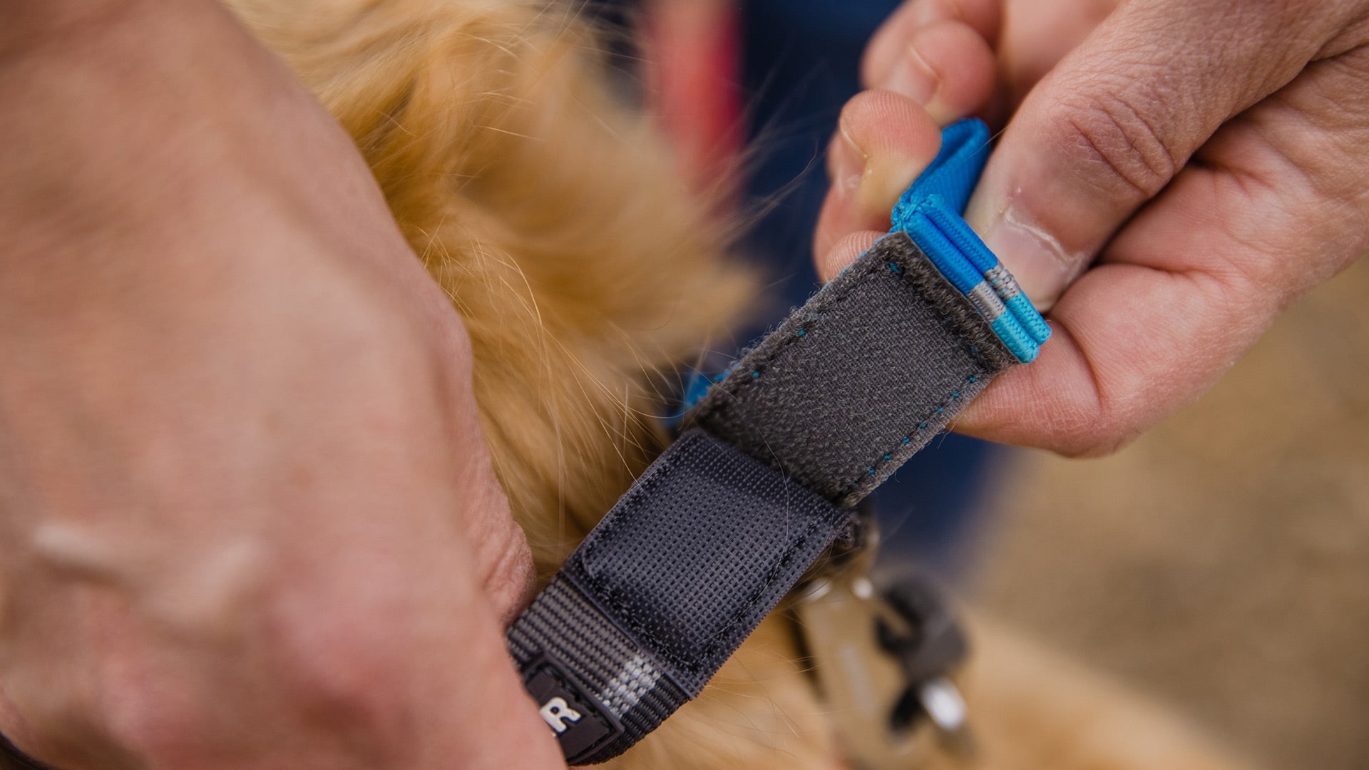 Quick Draw Lead Ruffwear