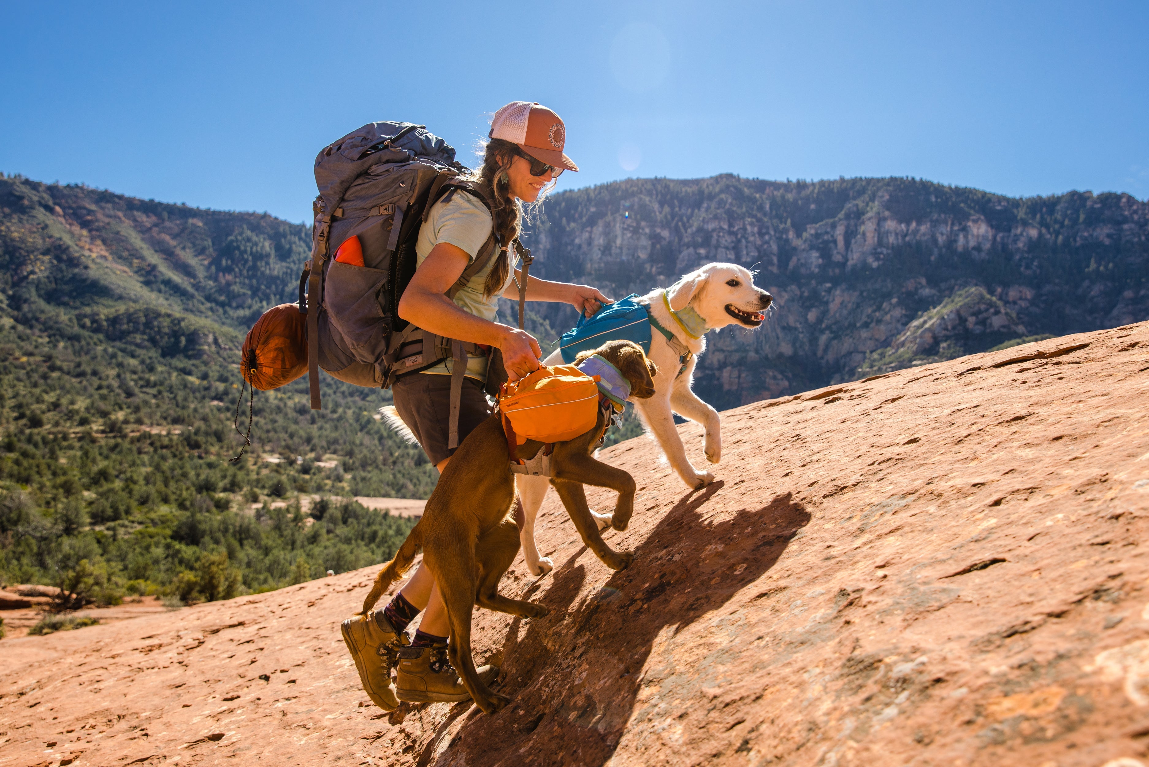 Dog 2024 hiking bag