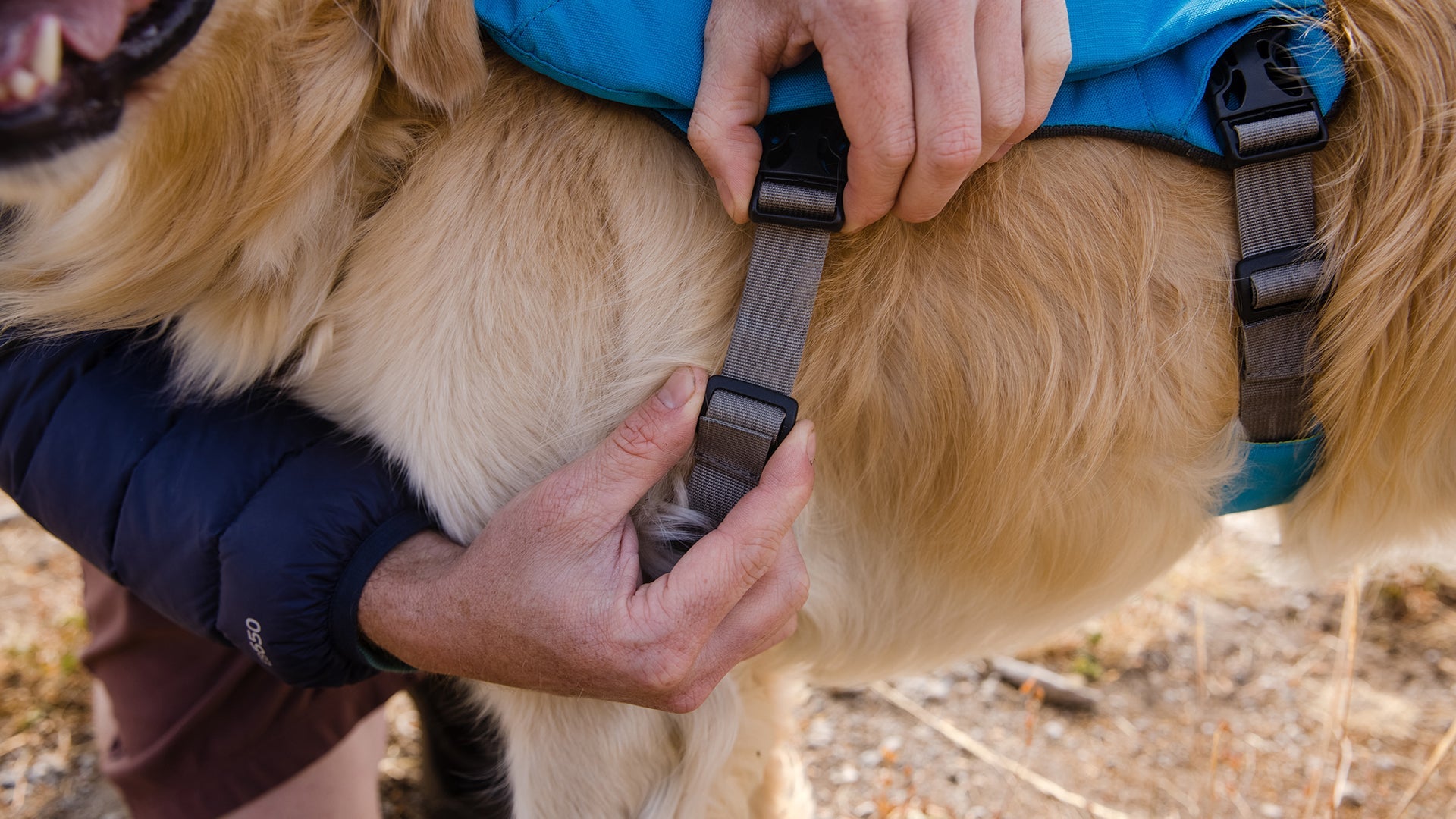 Singletrak Dog Hydration Pack Ruffwear