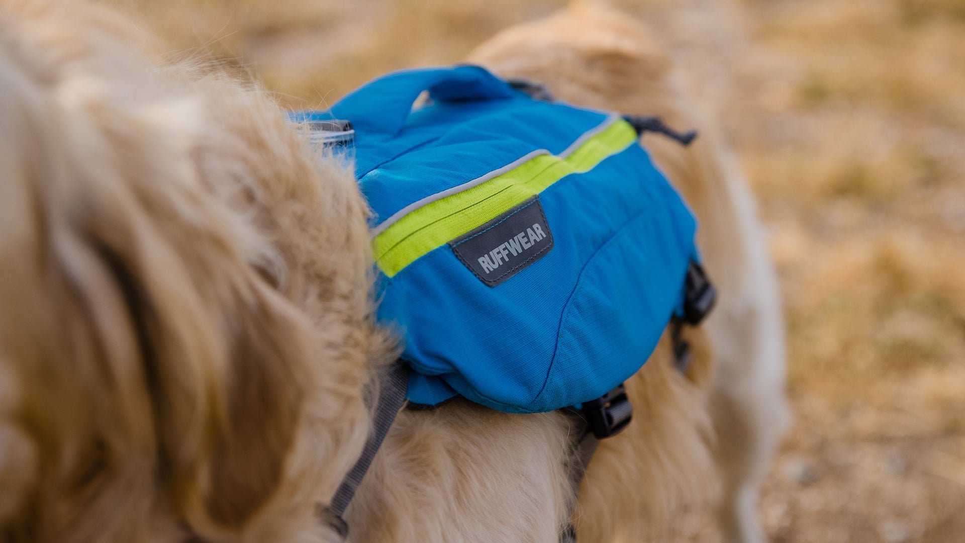 Ruffwear 2025 singletrak pack