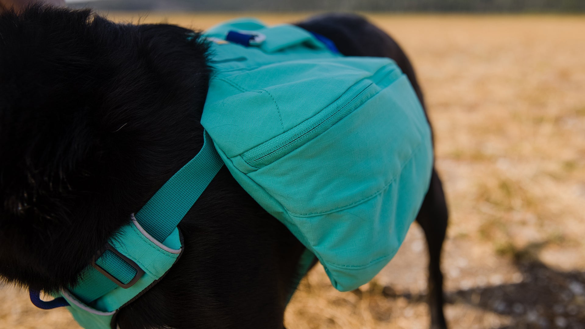 Front Range Day Pack Ruffwear