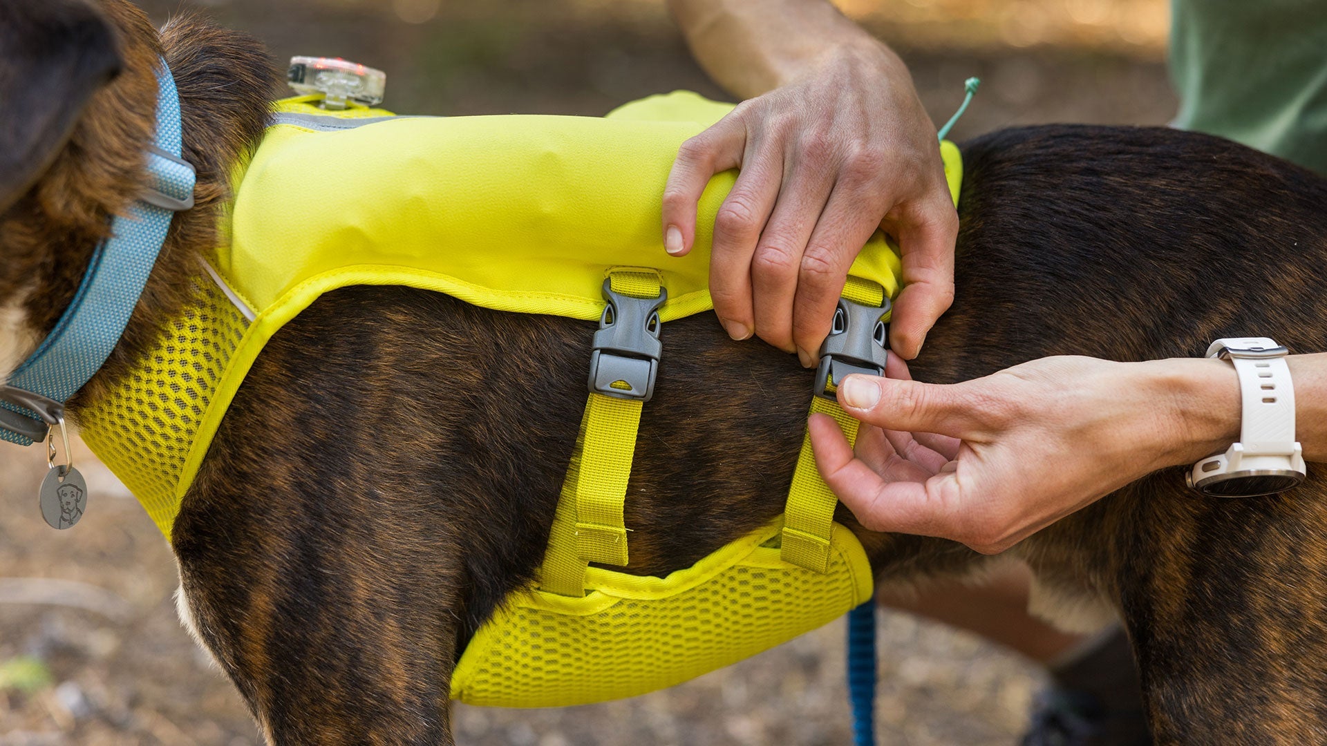 Ruffwear trail hotsell runner belt