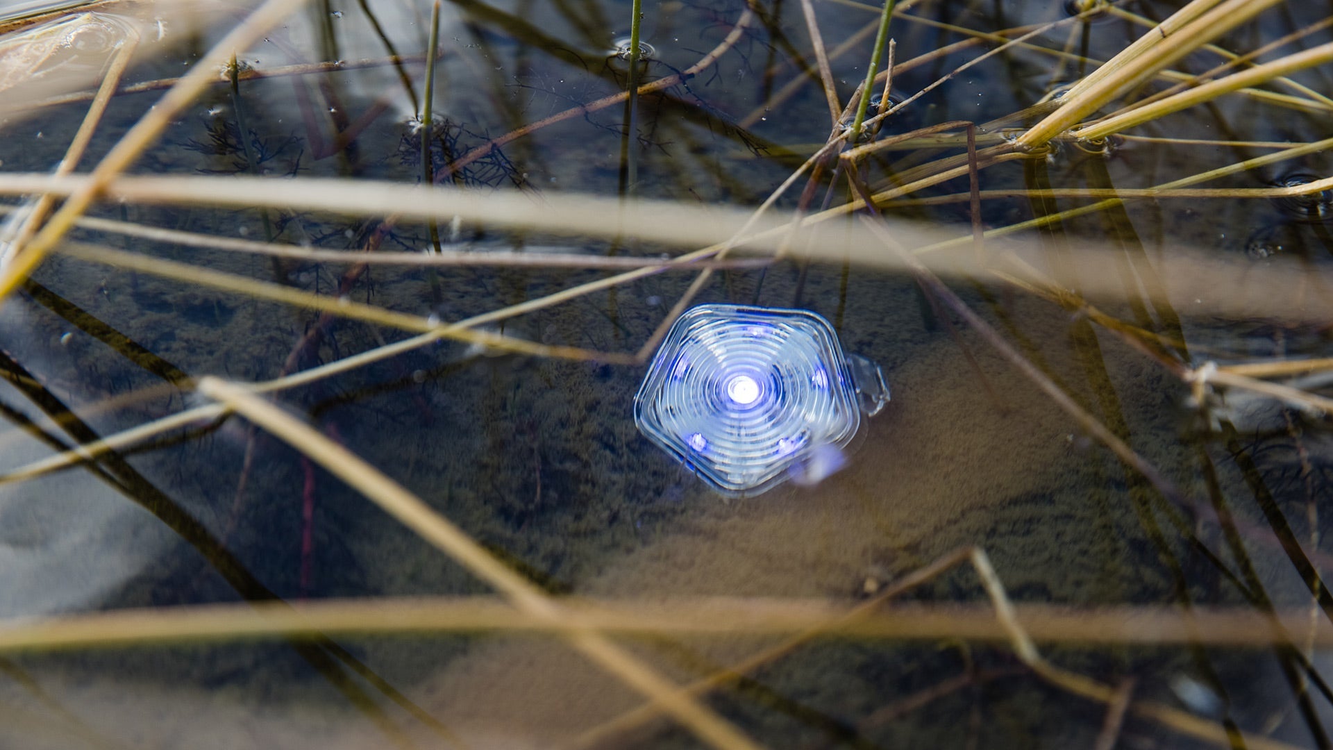 Waterproof Rechargeable Dog Safety Light The Beacon Ruffwear