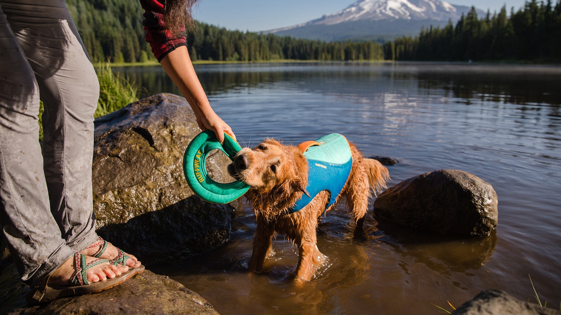 Hydro Plane Floating Dog Toy Interactive Fetch Ruffwear