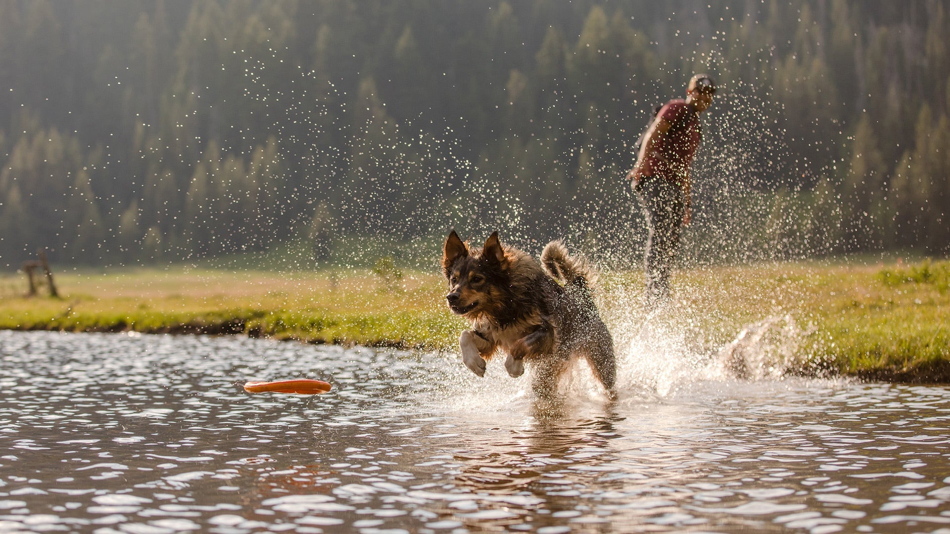 Hydro Plane Floating Dog Toy Interactive Fetch Ruffwear