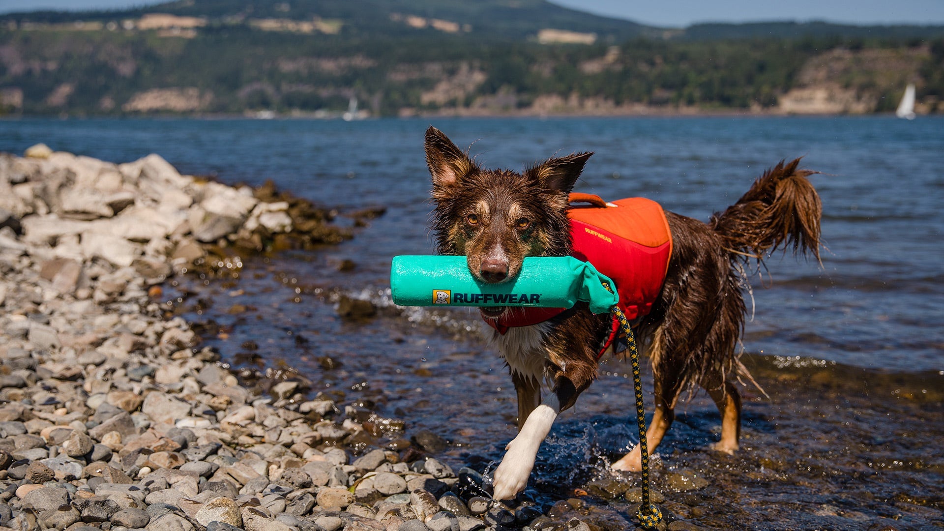 Lunker Floating Dog Toy Interactive Throwing Ruffwear