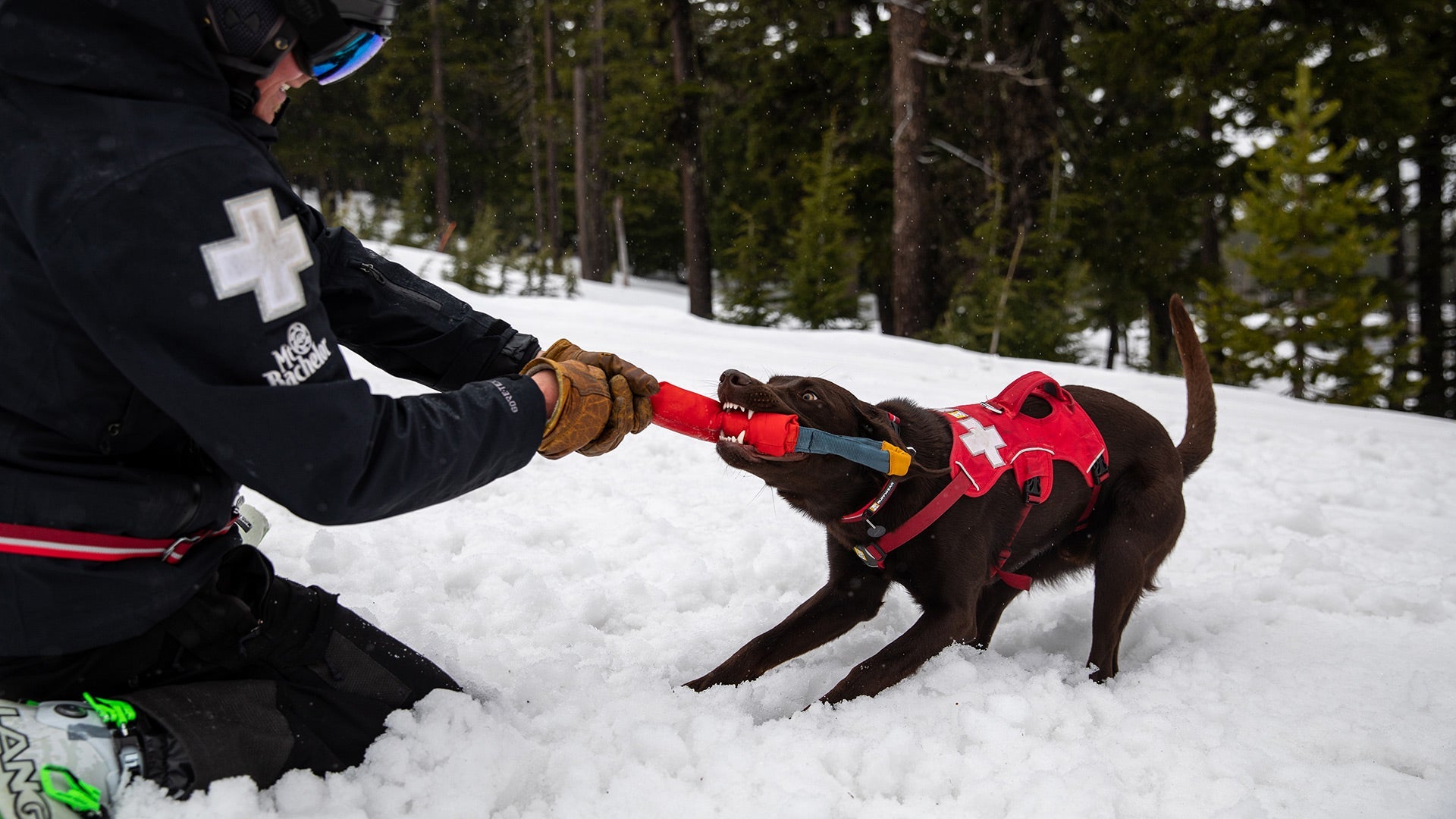 Pacific Loop Rope Dog Toy Strong Tug Fetch Ruffwear