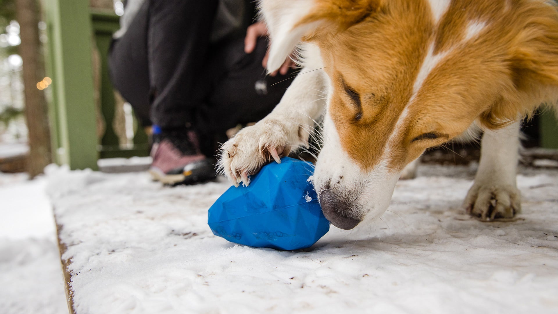 Gnawt a Cone Ruffwear