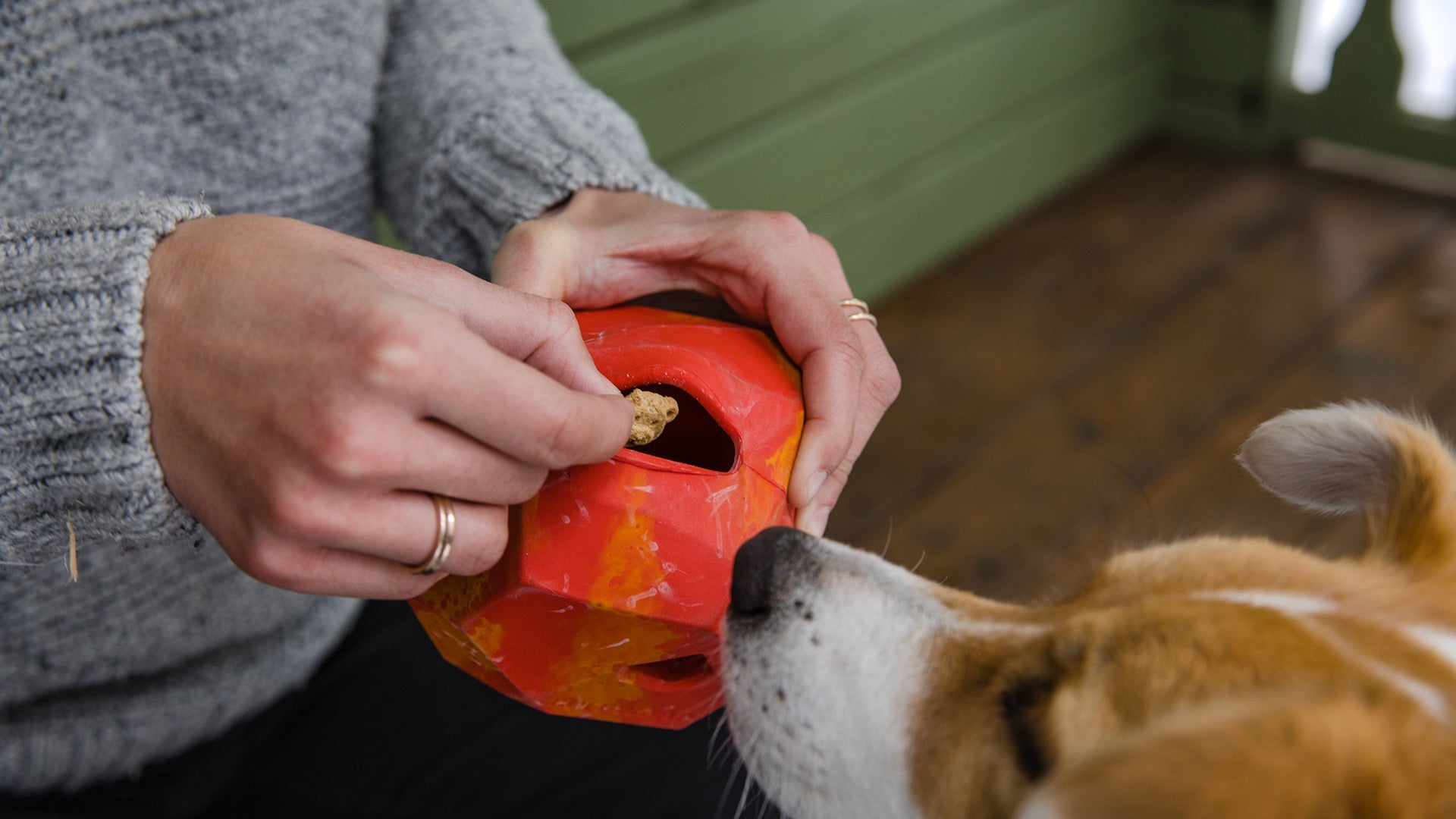 Ruffwear gnawt a outlet cone