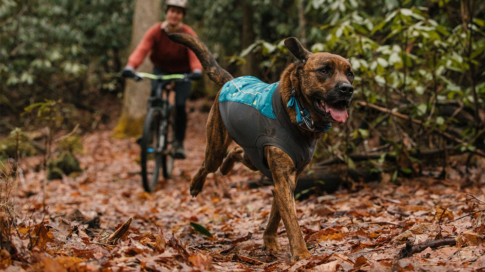 Ruffwear Overcoat Fuse Dog Jacket-Assorted Colours