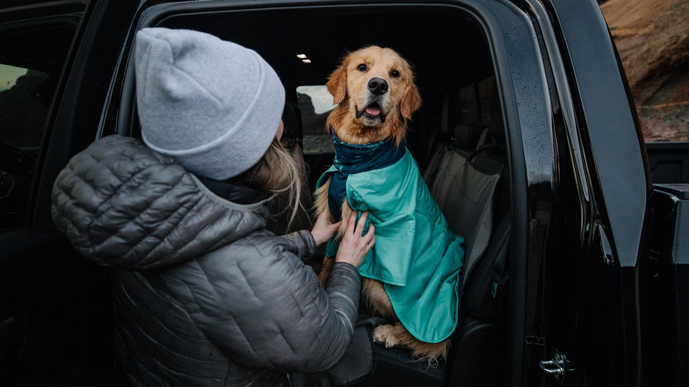 About: The Dirtbag™ Dog Towel Video Thumbnail