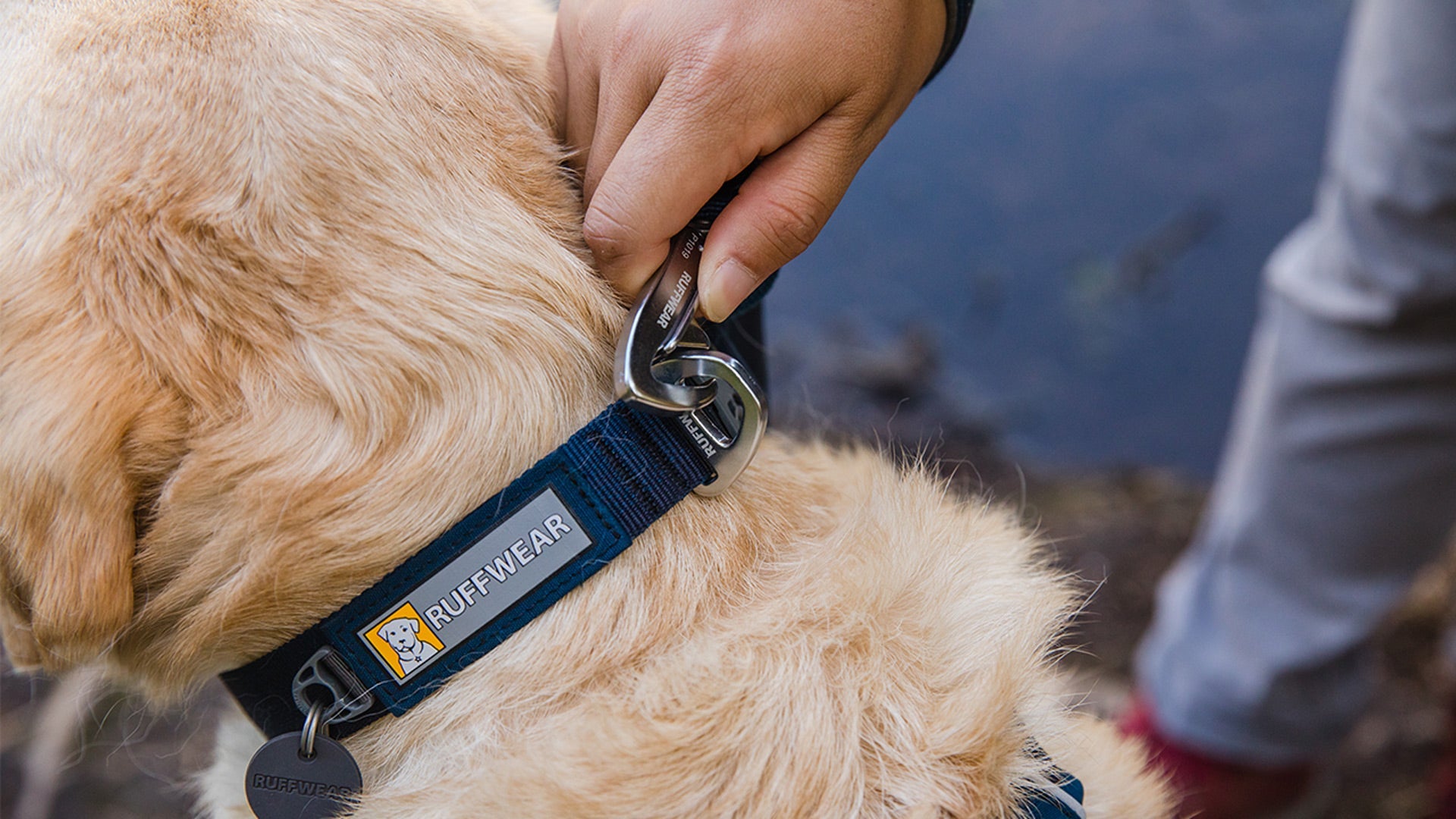 Front Range Dog Collar Lightweight Everyday Collar Ruffwear