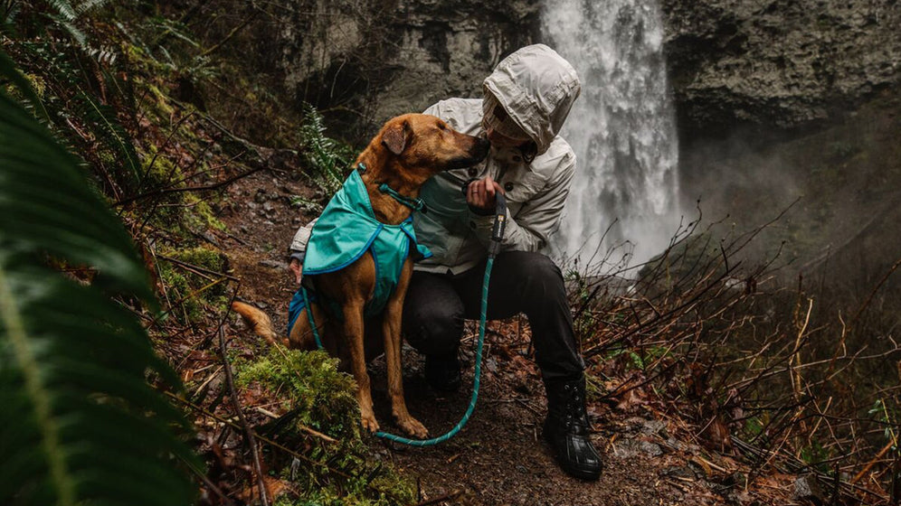 About: The Knot-a-Collar™ Video Thumbnail