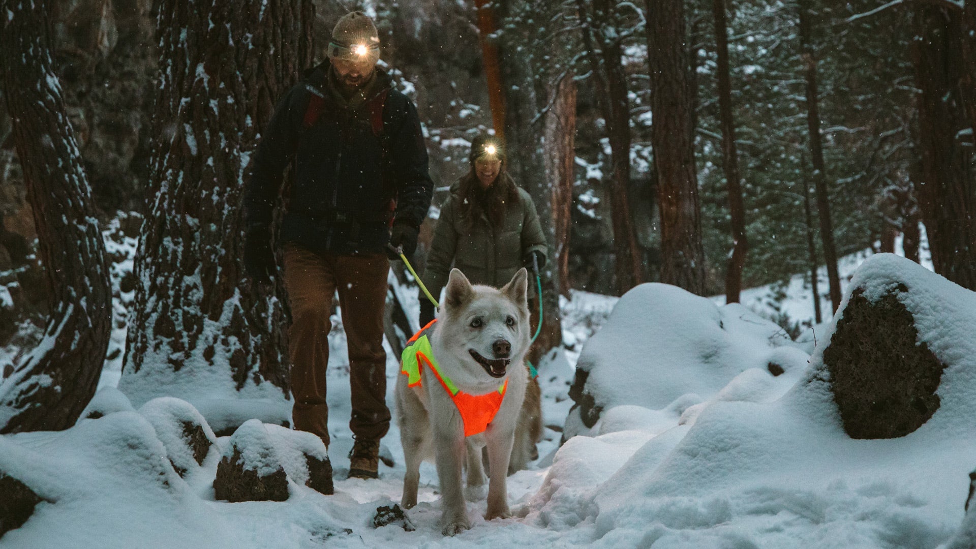 Lumenglow Hi Vis Dog Jacket Reflective Vest Ruffwear