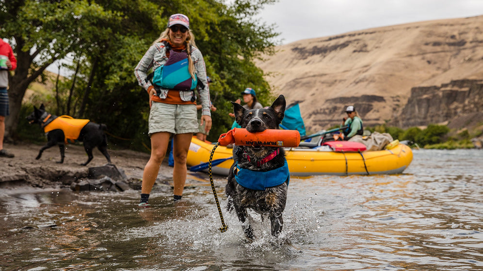 About: The Lunker™ Floating Dog Toy Video Thumbnail