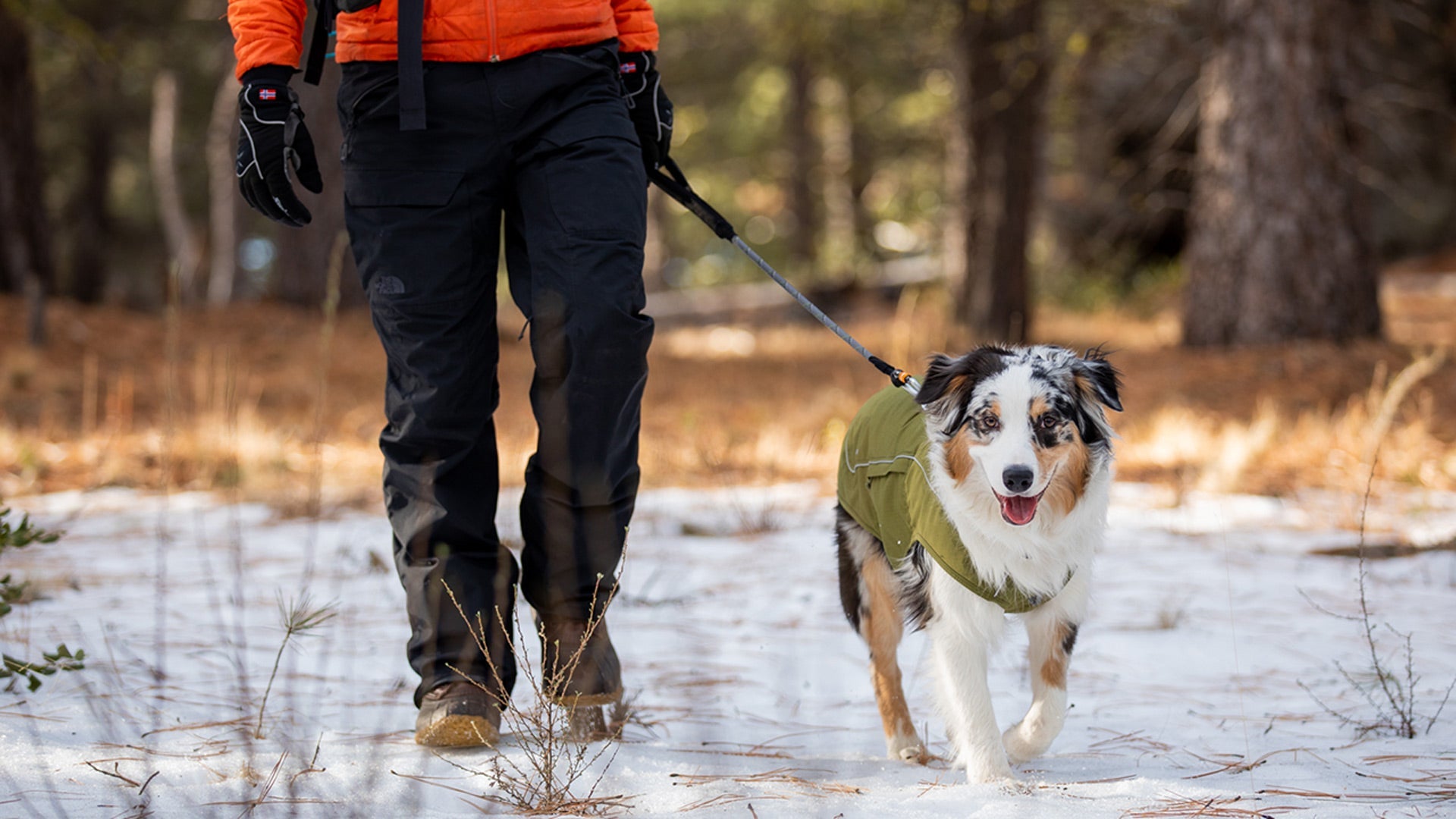 Overcoat Fuse Dog Coat with Built In Harness Ruffwear