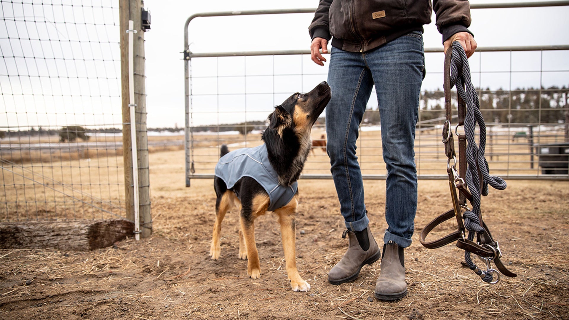 Overcoat Dog Jacket Ruffwear