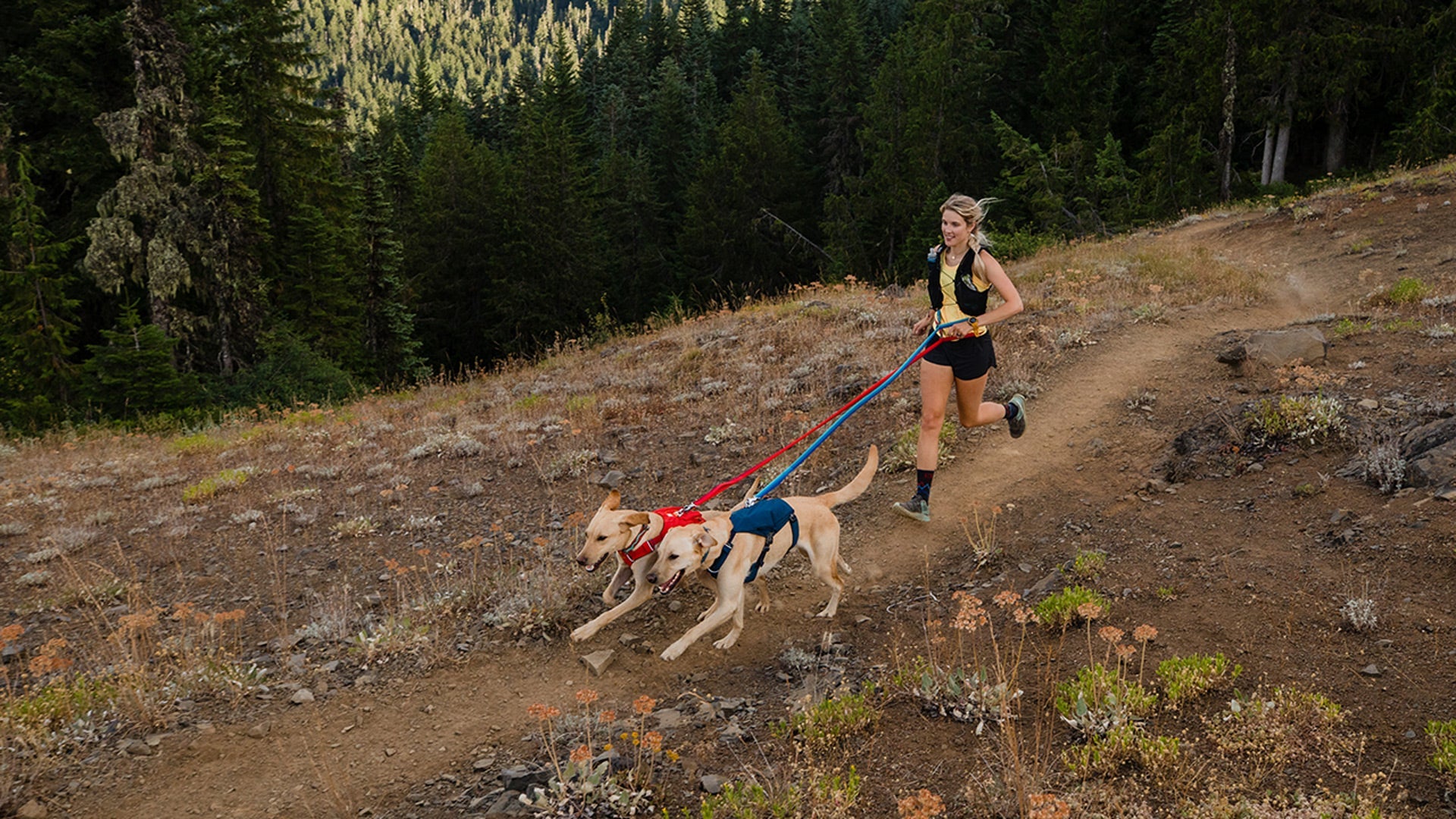 Ruffwear running shop leash