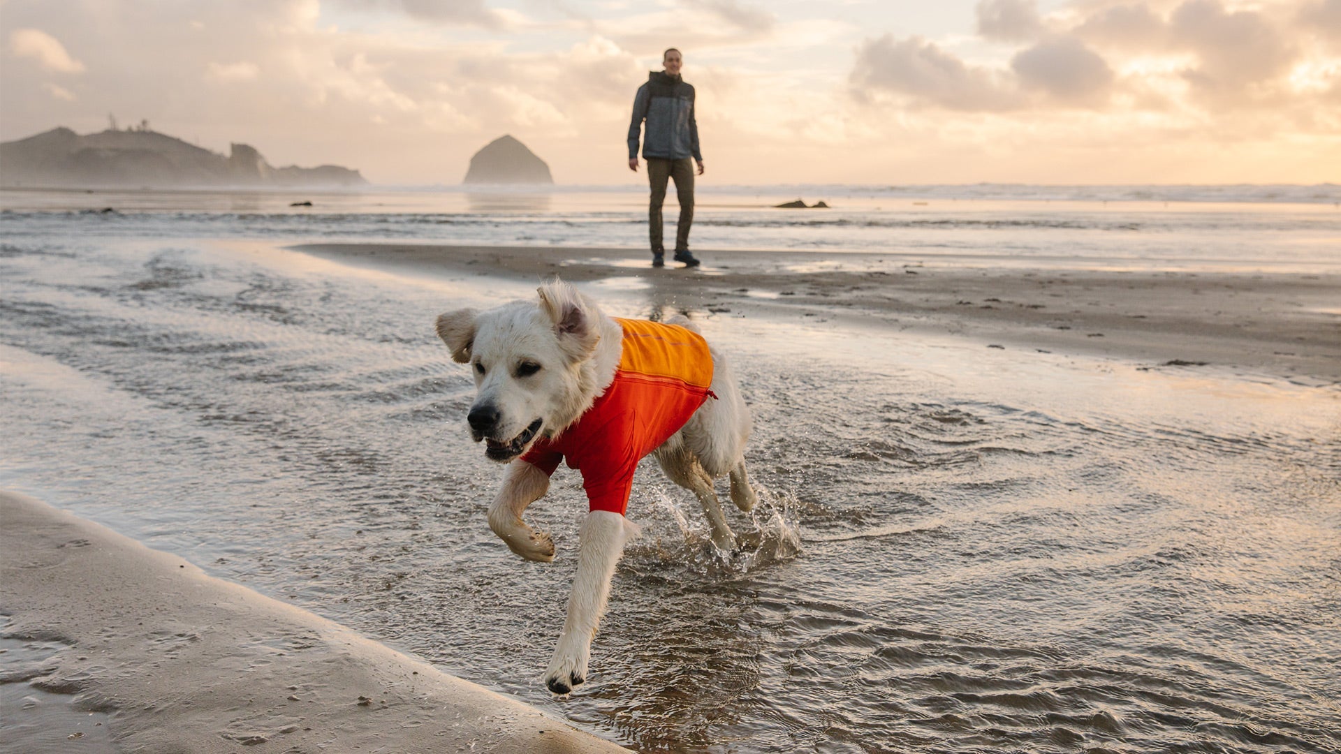 Undercoat Jacket Dog Wetsuit Ruffwear