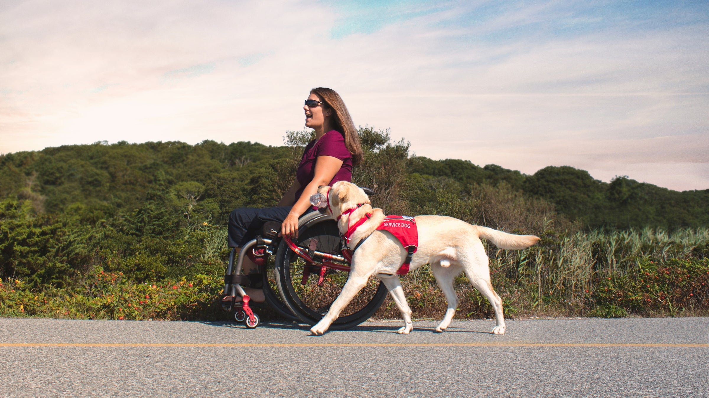 Working Dogs Our Commitment Dedication About Us Ruffwear