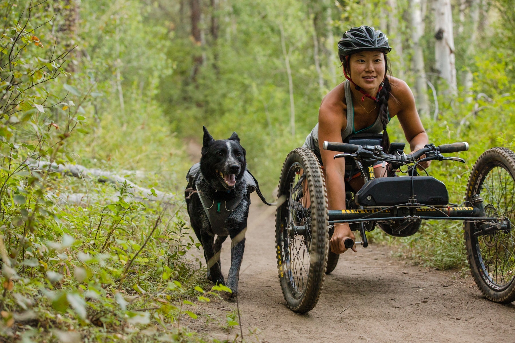 Gear For Biking With Dogs Cycling With Dogs Bikejoring with Dogs