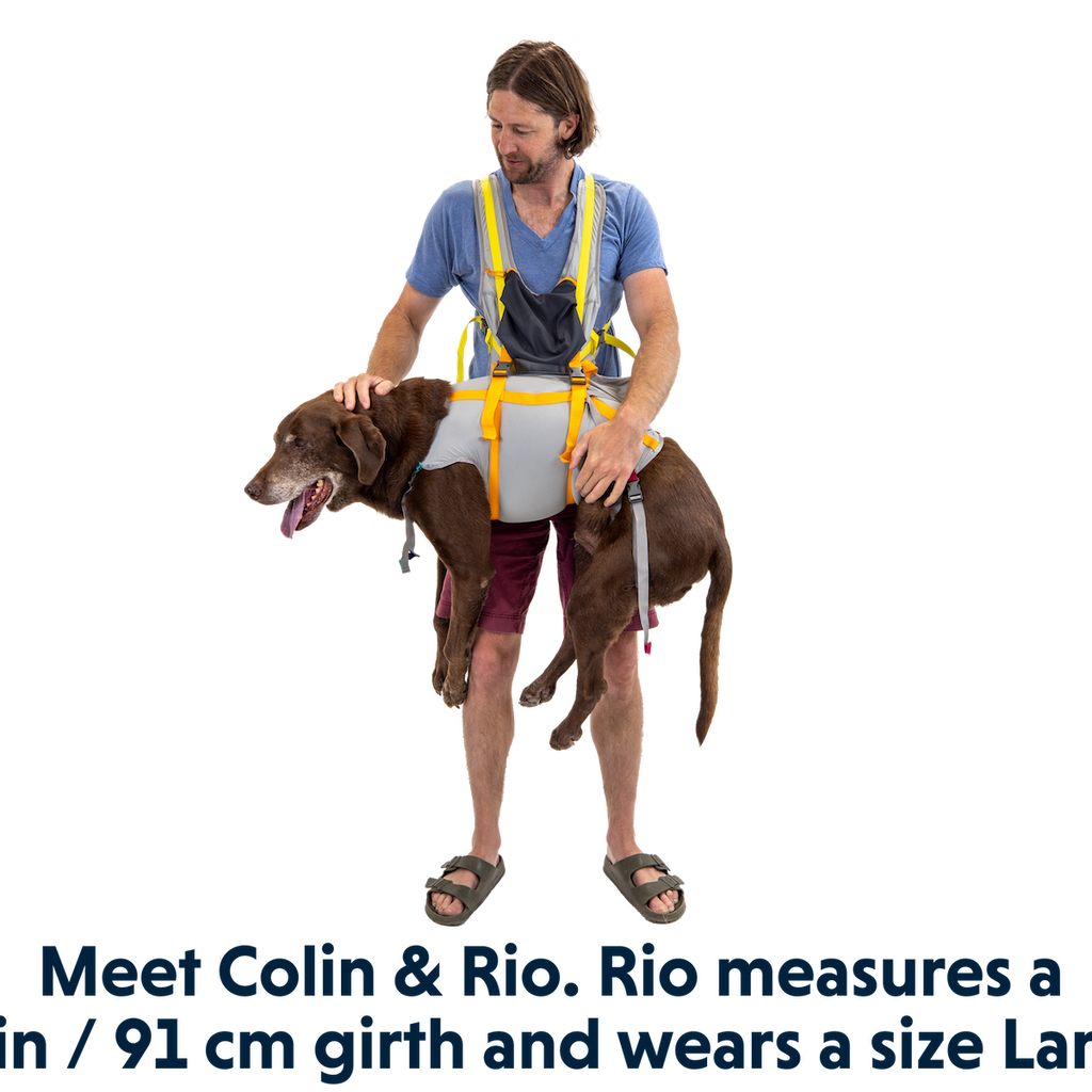 BackTrak™ Dog Sling Carrier Evacuation Kit | Ruffwear UK