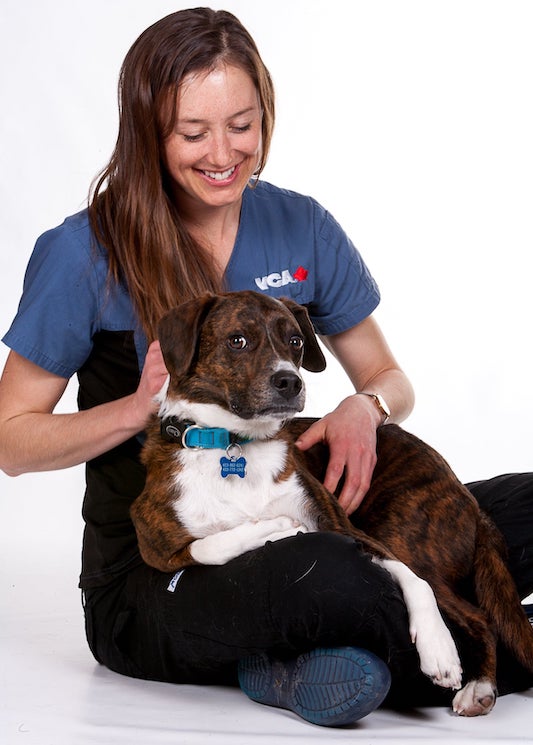 Bronwyn in her vet uniform sits with Arnie in her lap.