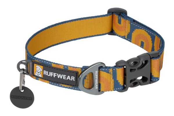Best dog collars uk best sale