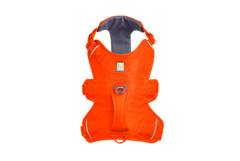 Blaze Orange