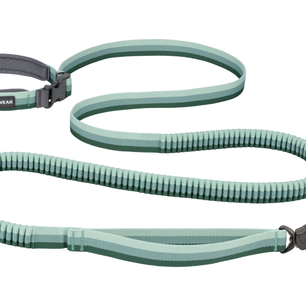 Roamer Lock™ Lead | Ruffwear UK