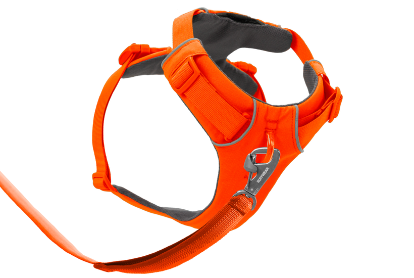 Front Range® Dog Harness