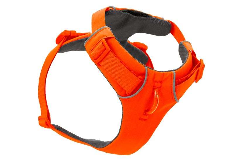 Blaze Orange