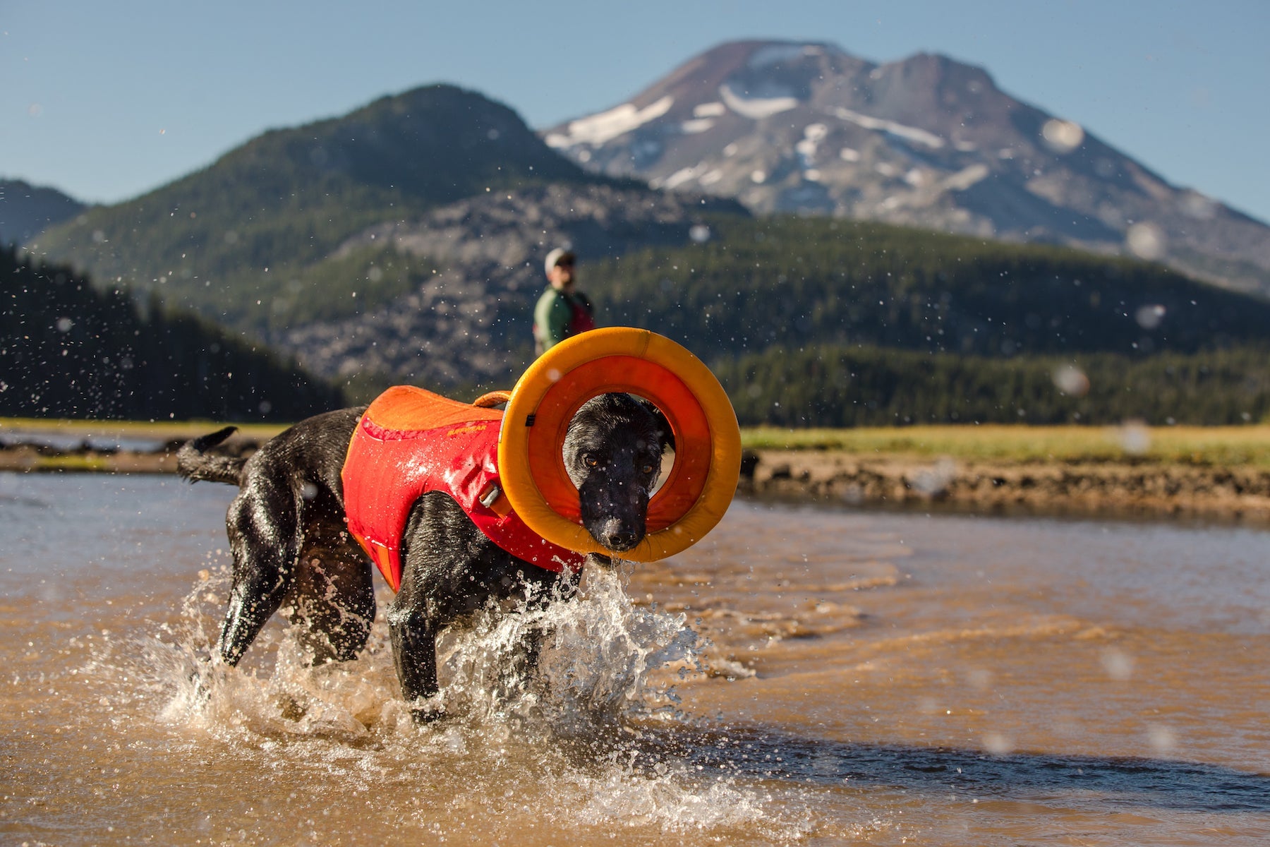 Summer Cooling Gear for Dogs Evaporative Cooling Jackets Ruffwear