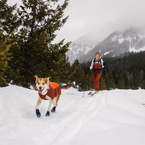 Ruffwear performance dog gear best sale