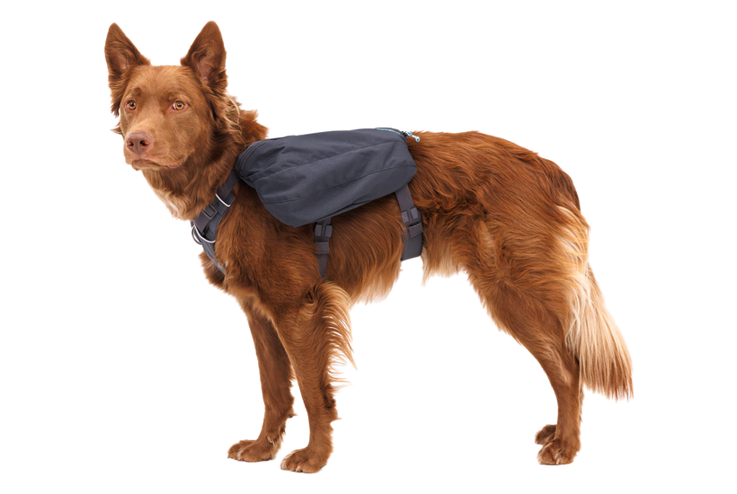 Ruffwear dog gear best sale