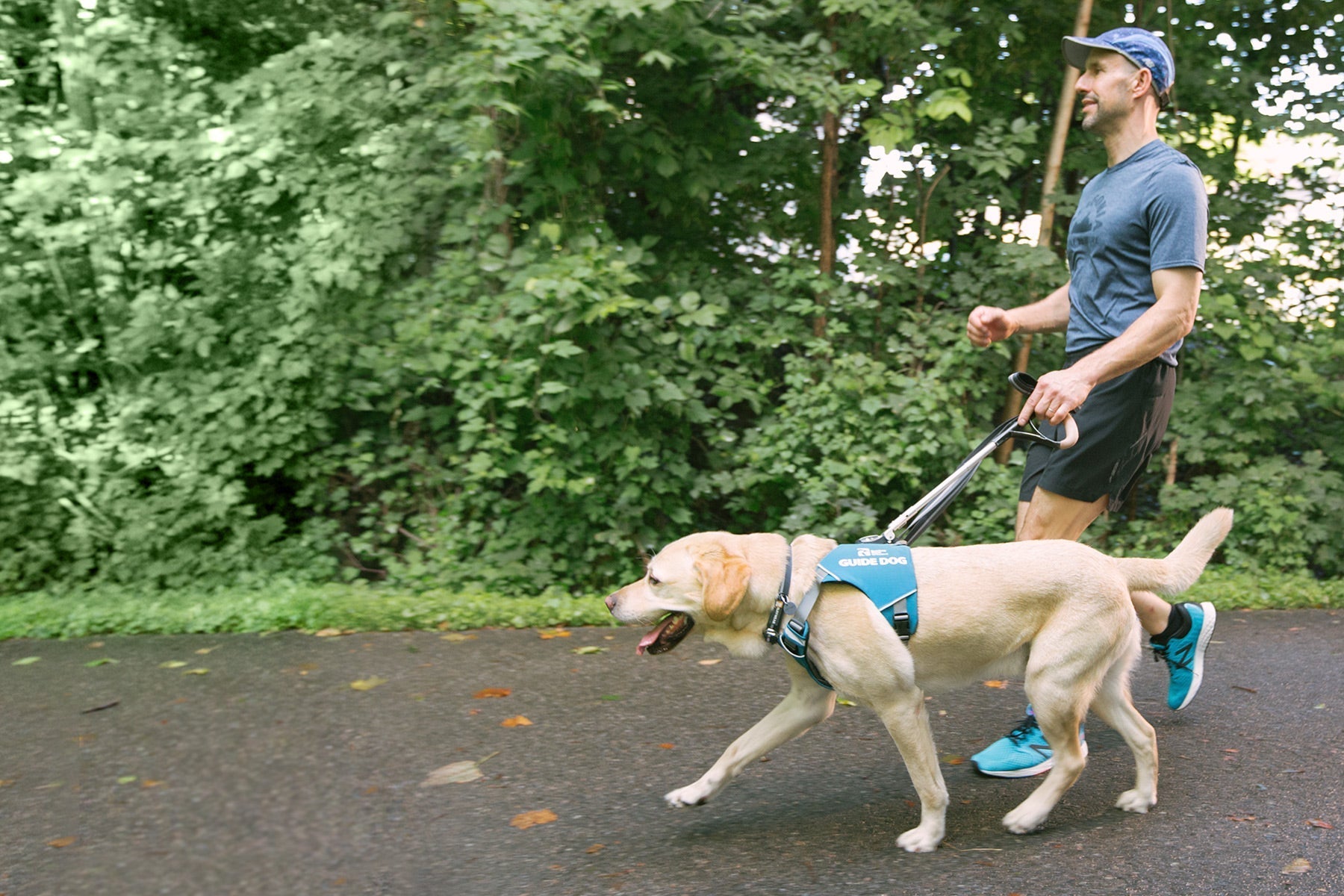 Guide Dogs Working for the Blind Community Ruffwear