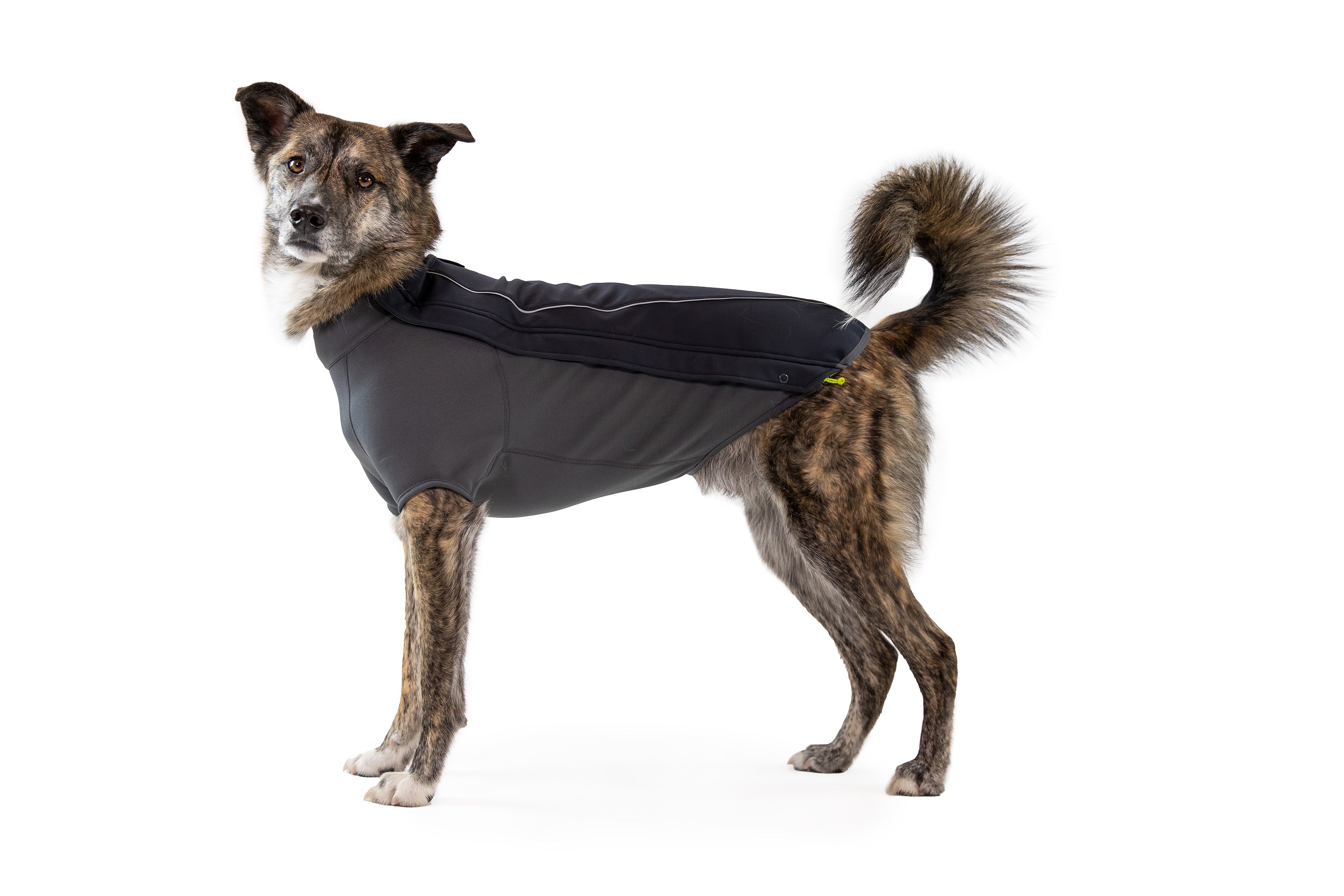 Innovative Insulation Ruffwear