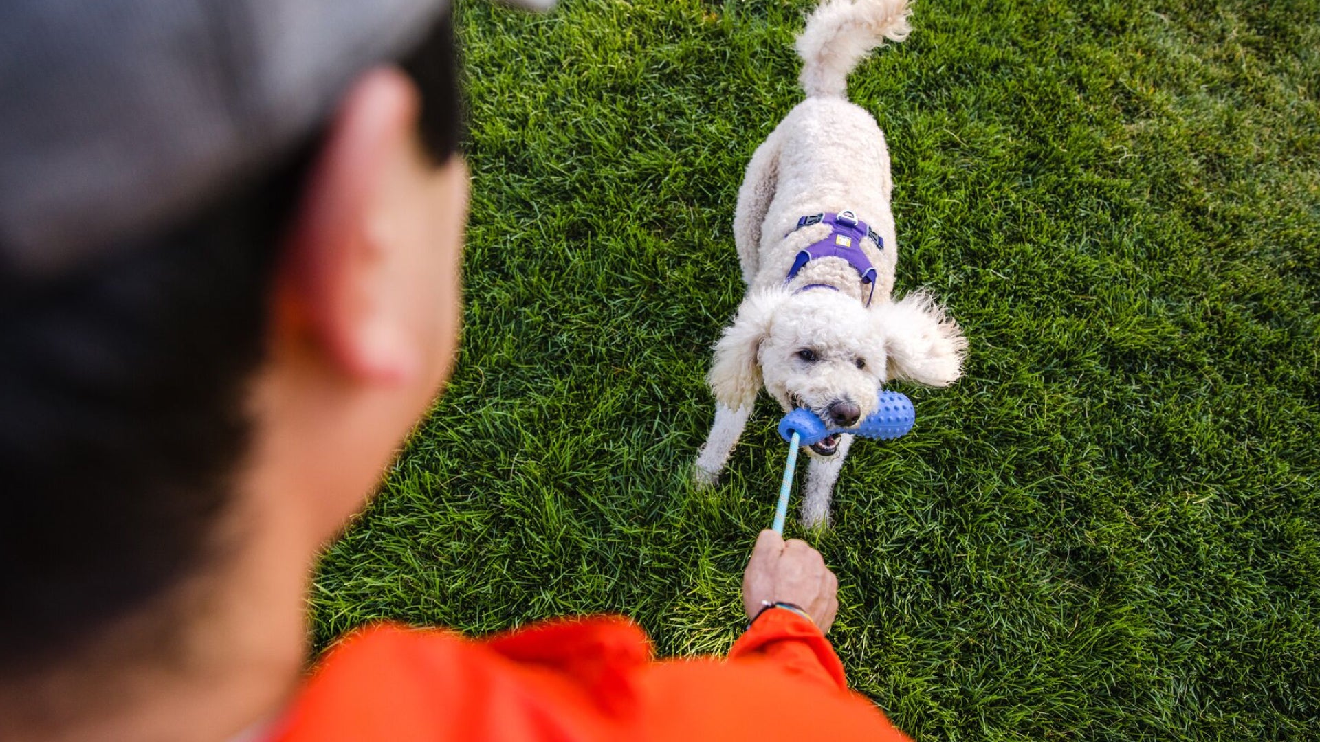 Gourdo Rubber Throw Toy Ruffwear