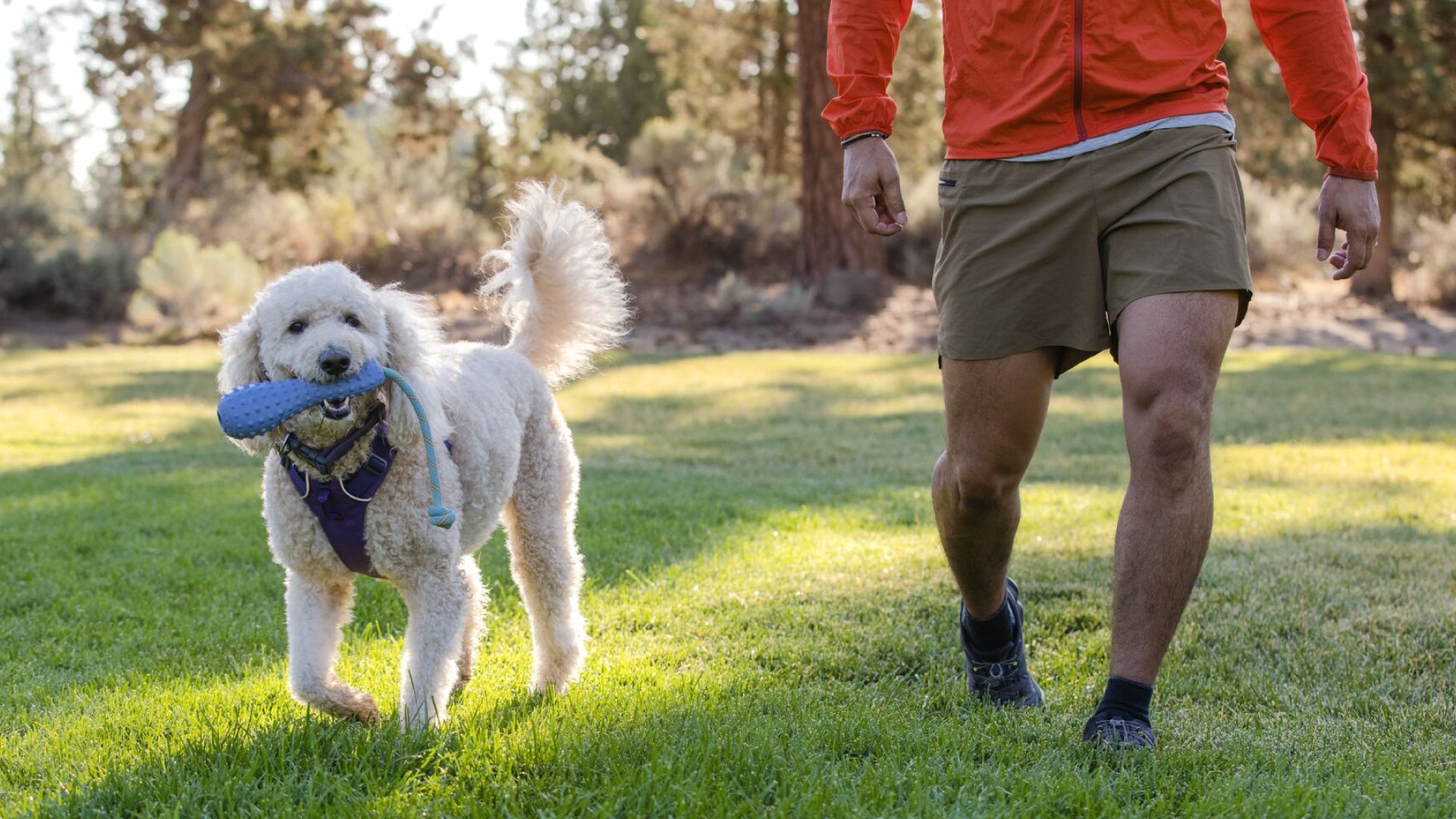 Gourdo Rubber Throw Toy Ruffwear