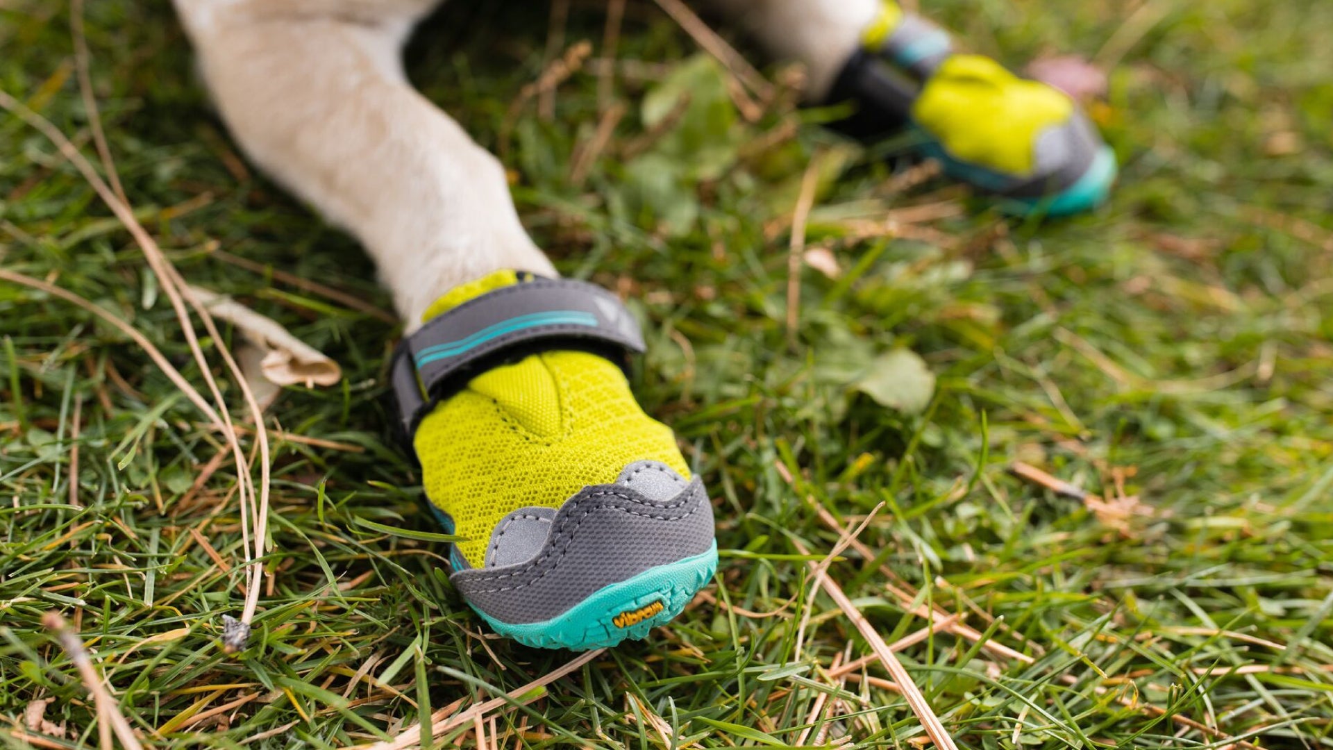 Grip Trex Dog Boot Pairs Durable All Terrain Paw Protection