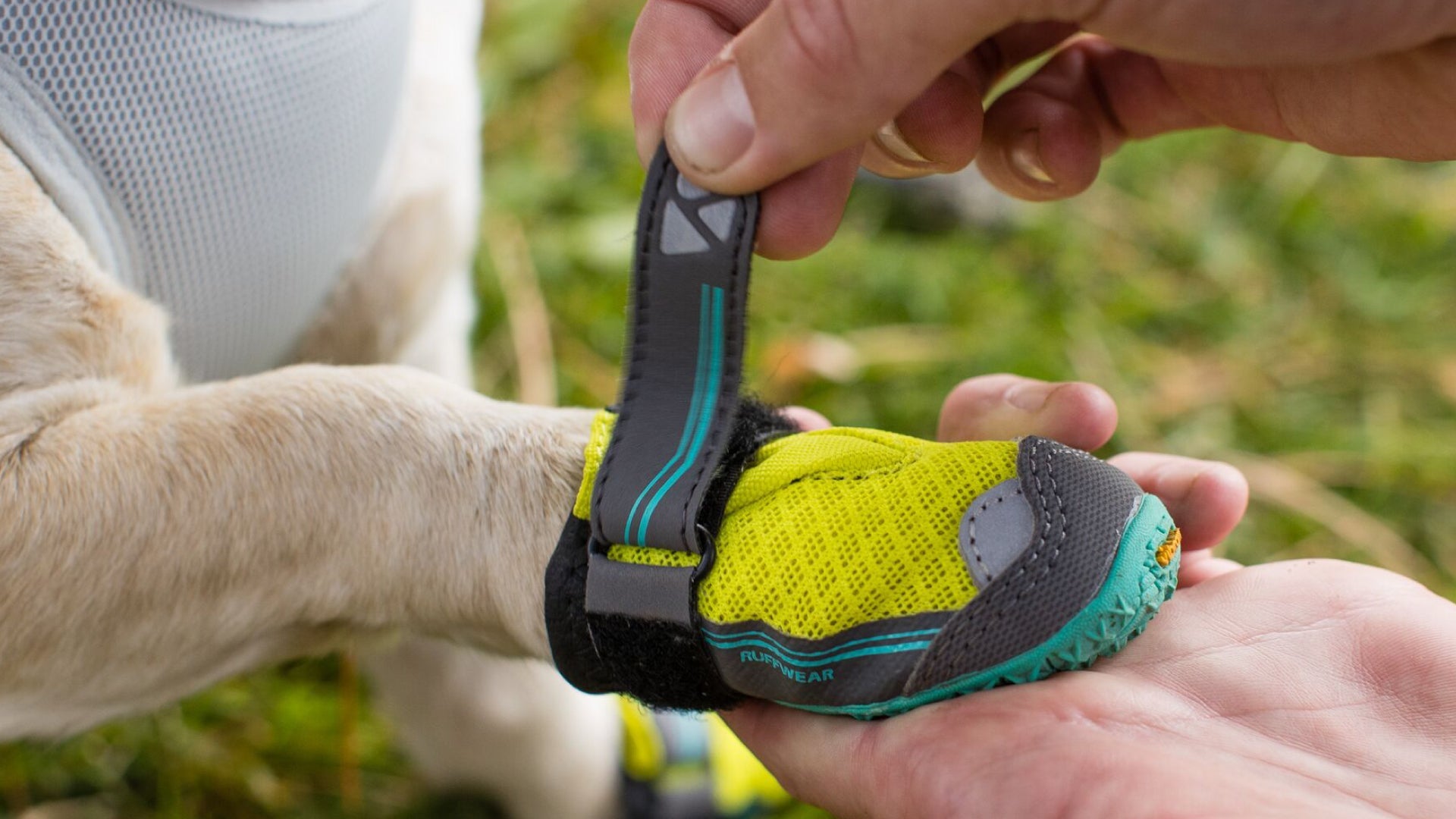 Ruffwear grip hot sale trex australia