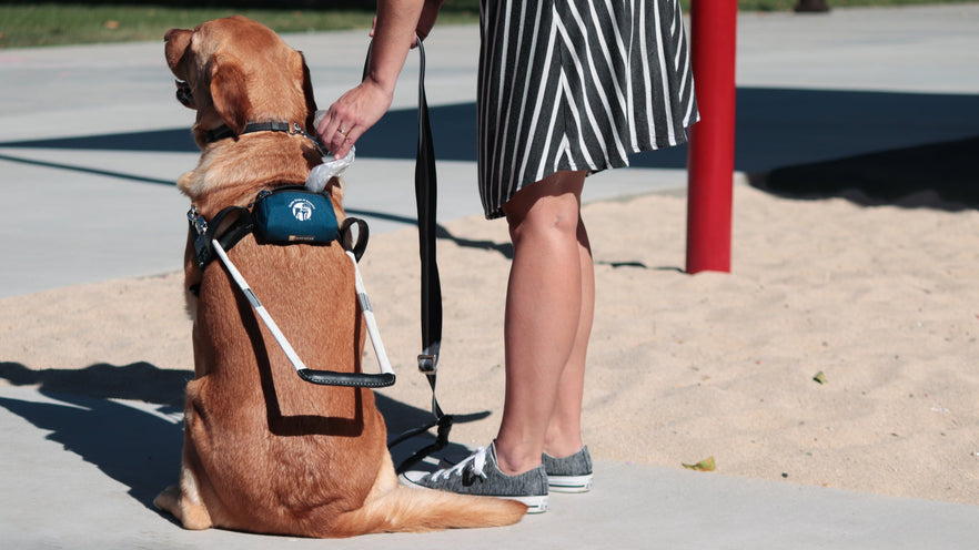 Guide Dog Pouch Ruffwear