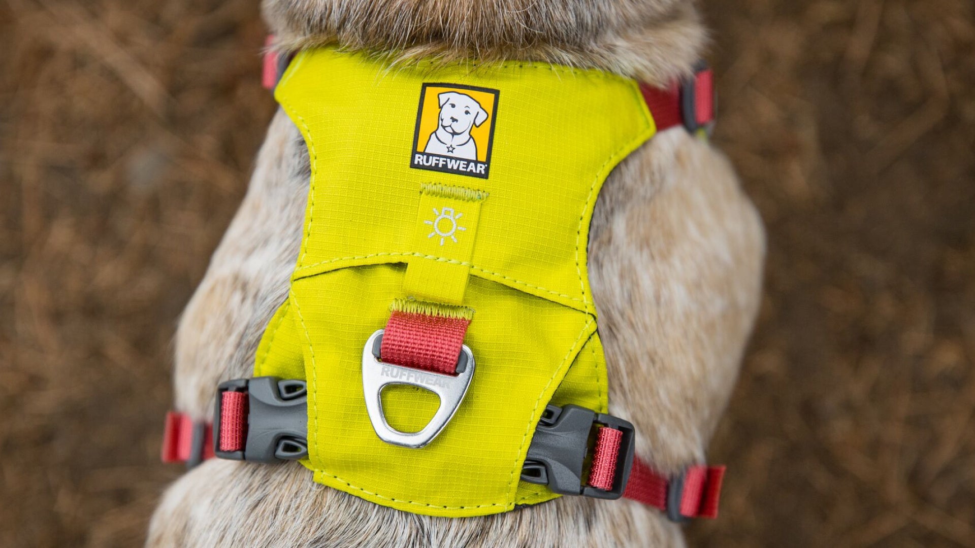 Ruffwear hi & shop light harness review