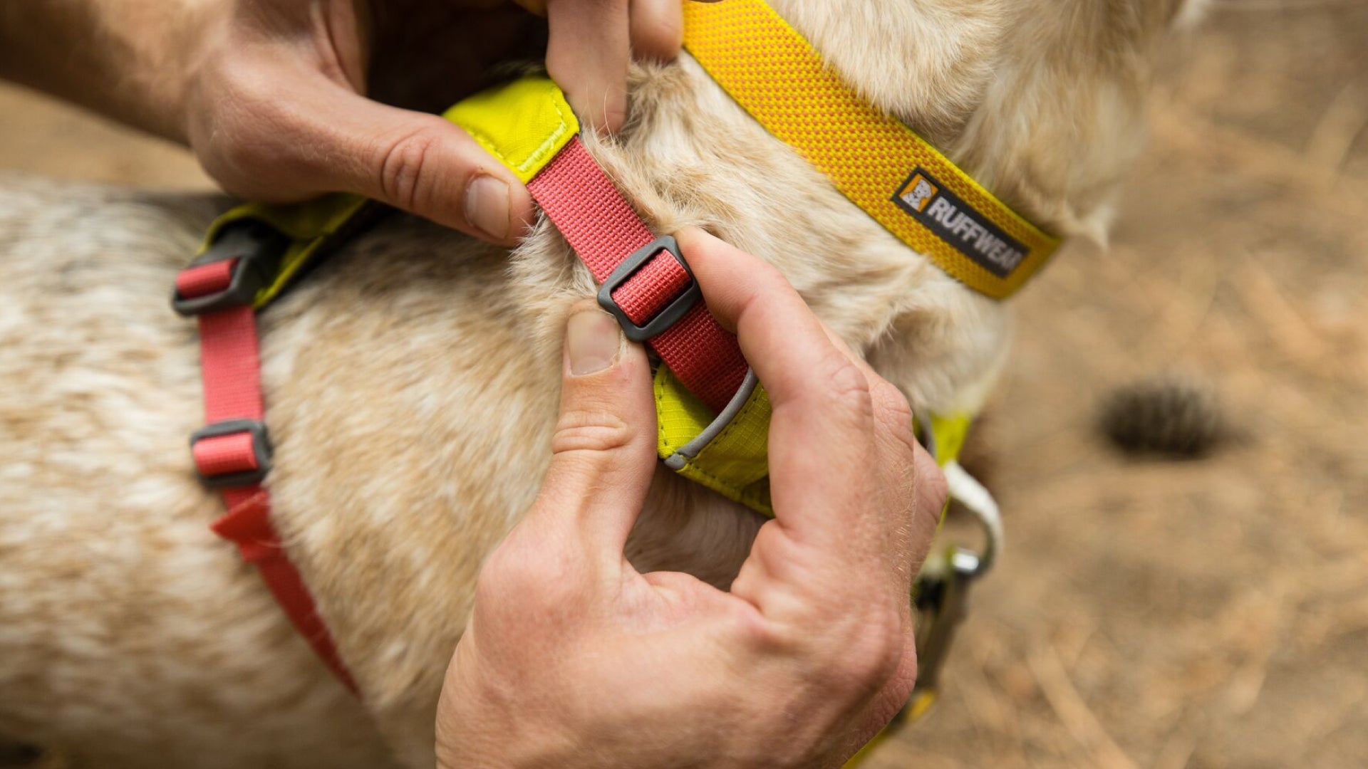 Ruffwear lightweight outlet harness